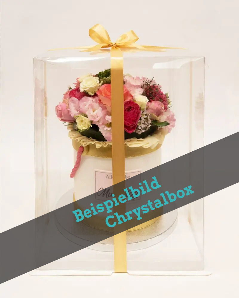 Beispiel Chrystal Tortenbox